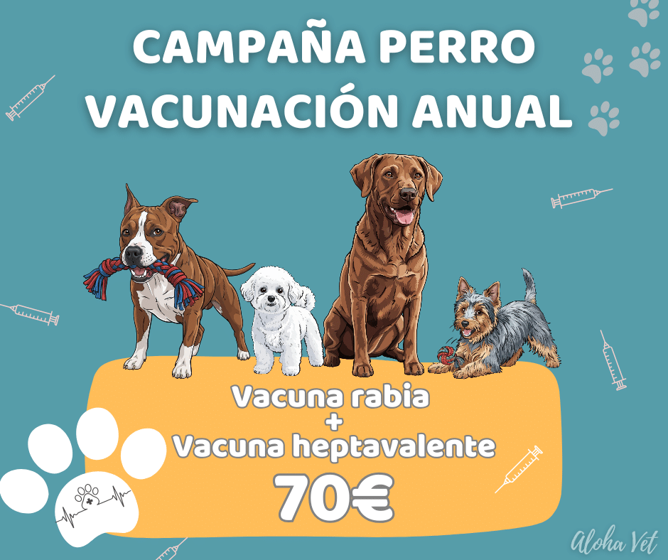Copia de Summer Sale Pet Shop (5)